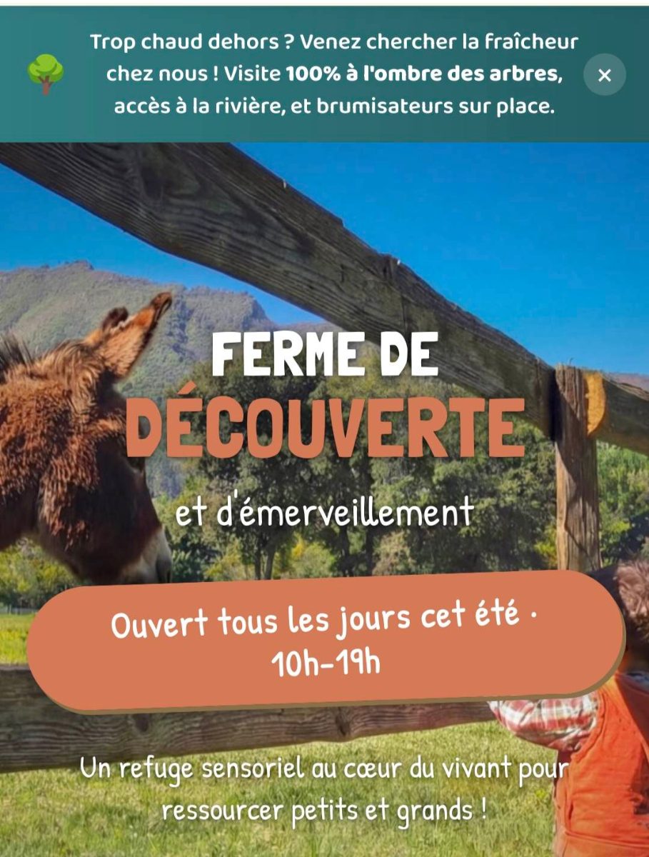 Affiche L'attrape-rêves