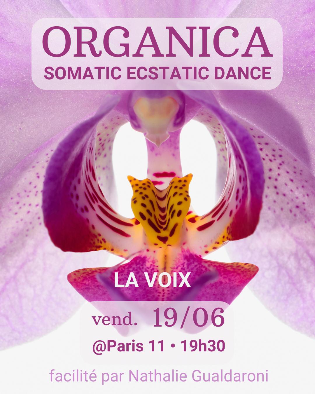 Affiche de Organica somatic ecstatic à Paris