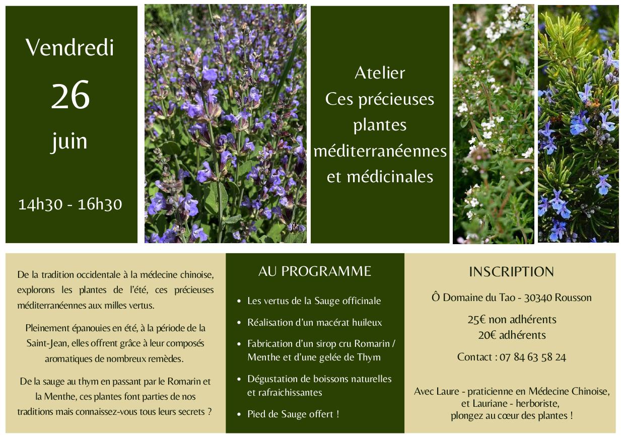 Affiche de Ces précieuses plantes à Rousson