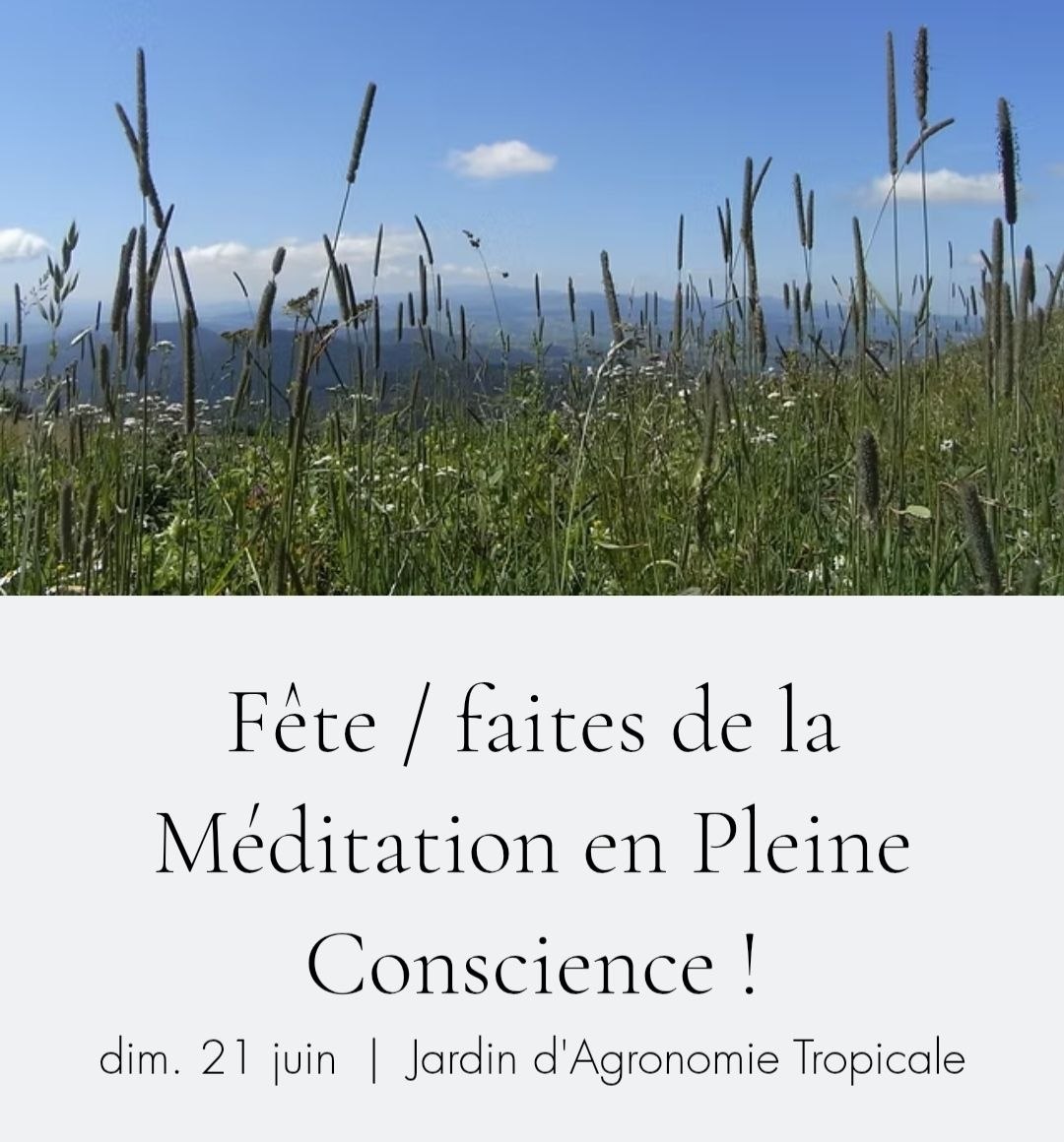 Affiche de Fête de la méditation en à Paris