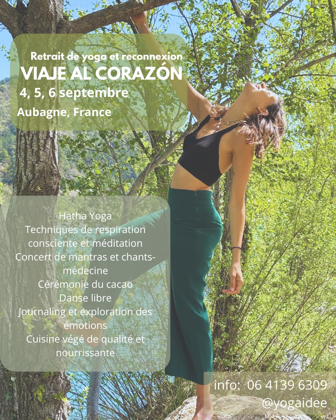 Affiche du festival Viaje al corazón