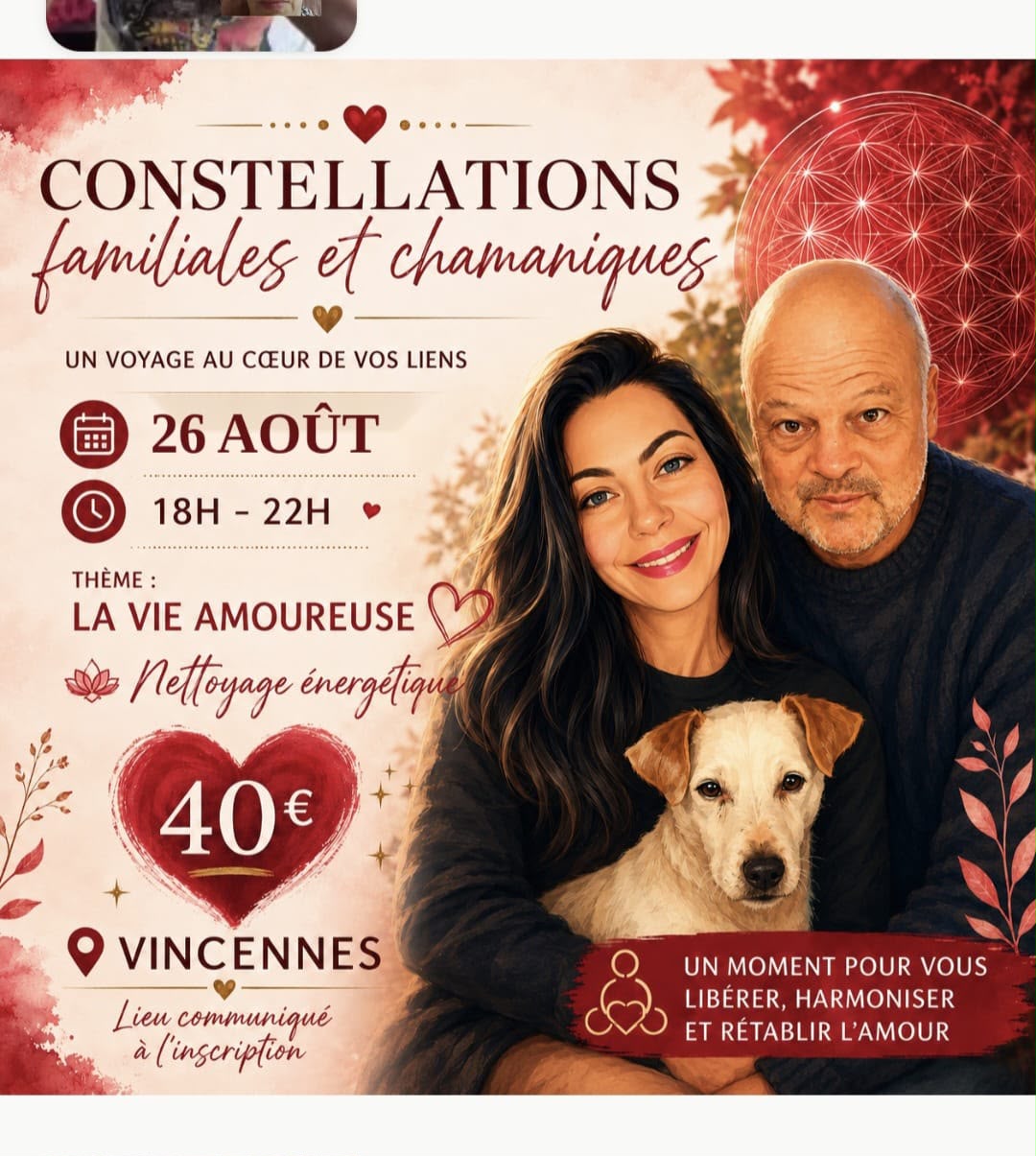 Affiche Constellations familiales et