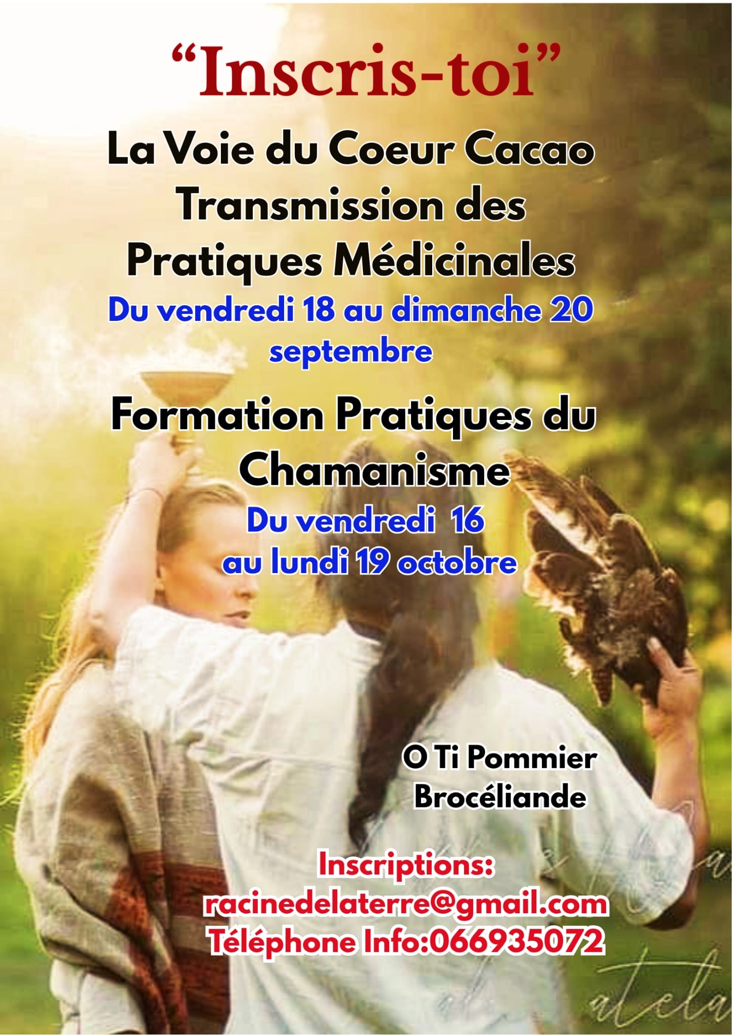 Affiche de La voie du coeur cacao à Brocéliande