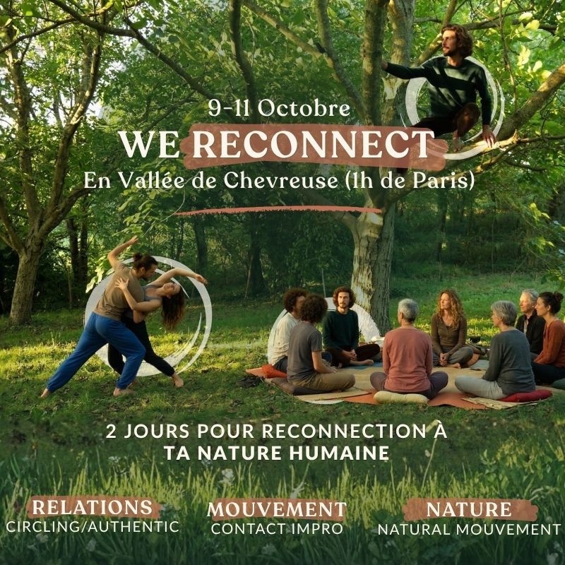 Affiche de We reconnect à Chevreuse