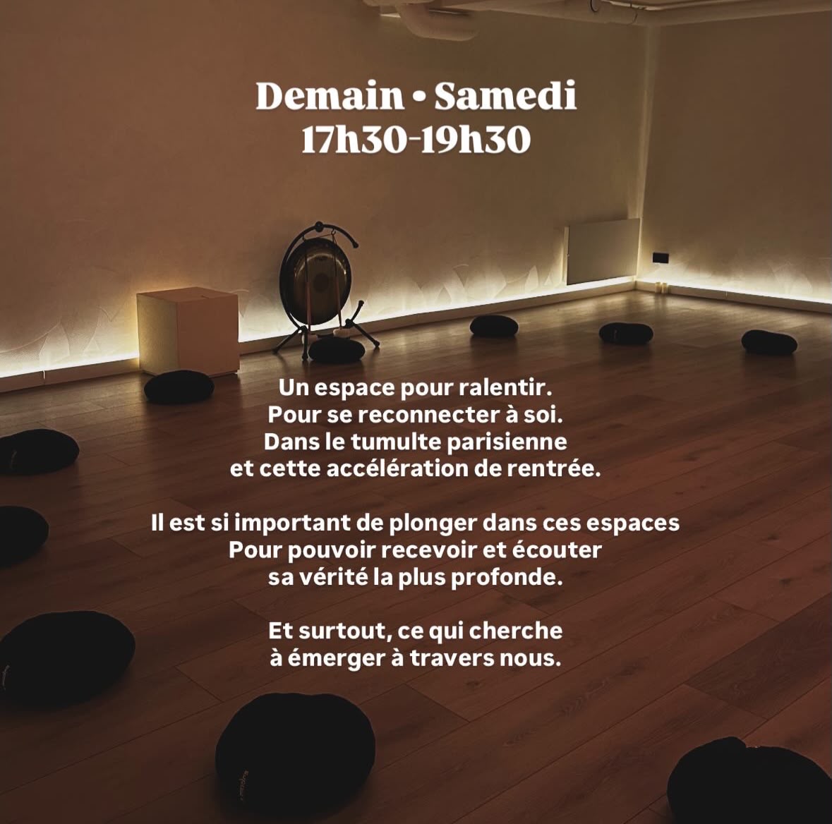 Affiche de Souveraineté à Paris