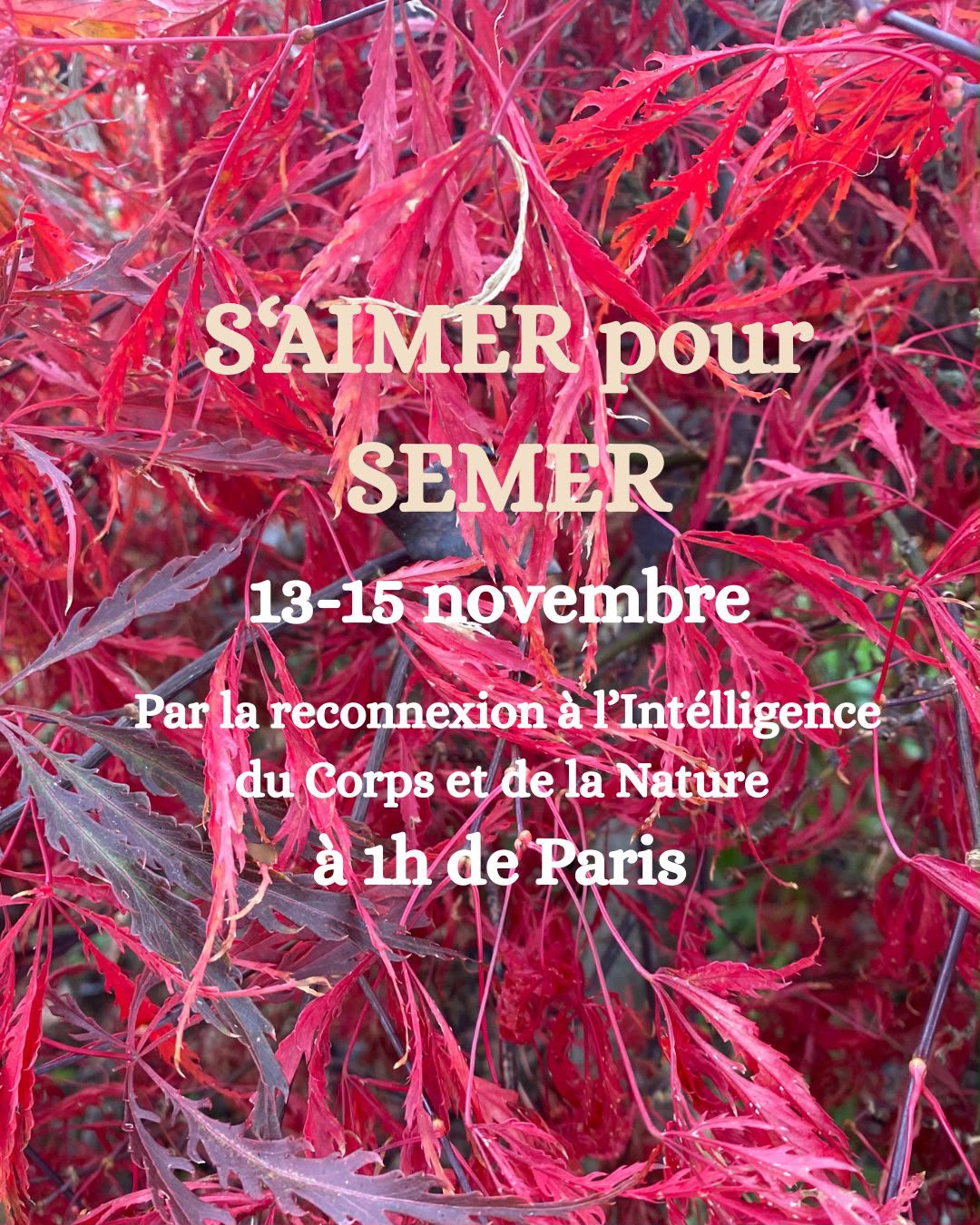 Affiche de Stage saimer pour semer à Fontainebleau