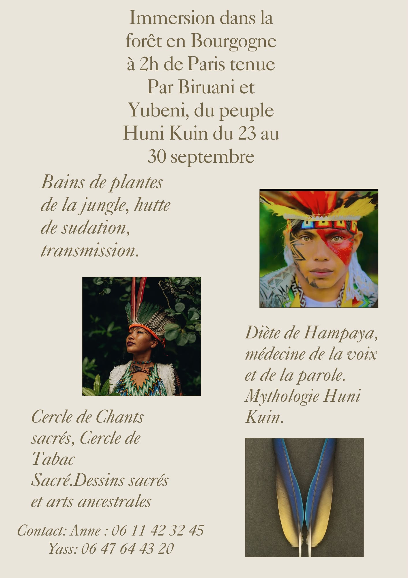 Affiche du festival Immersion forêt bourgogne