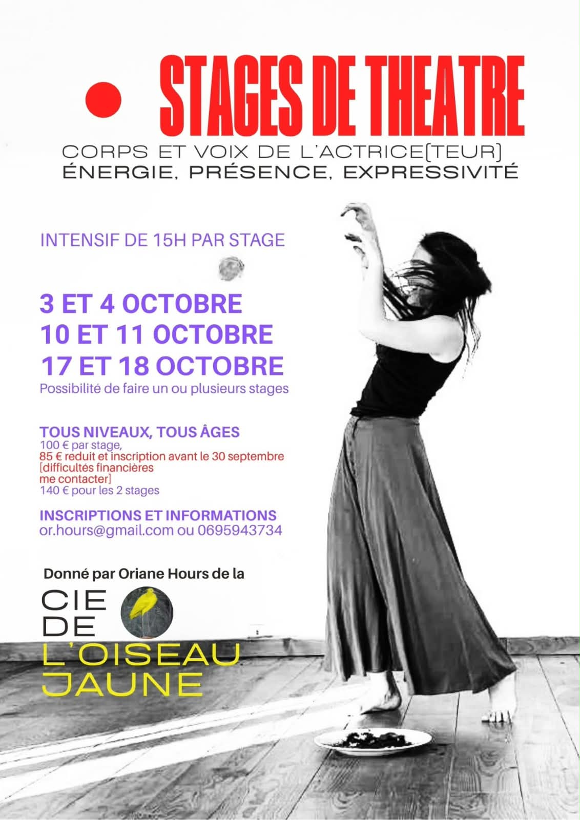 Affiche de Stages de théâtre à Rochecolombe