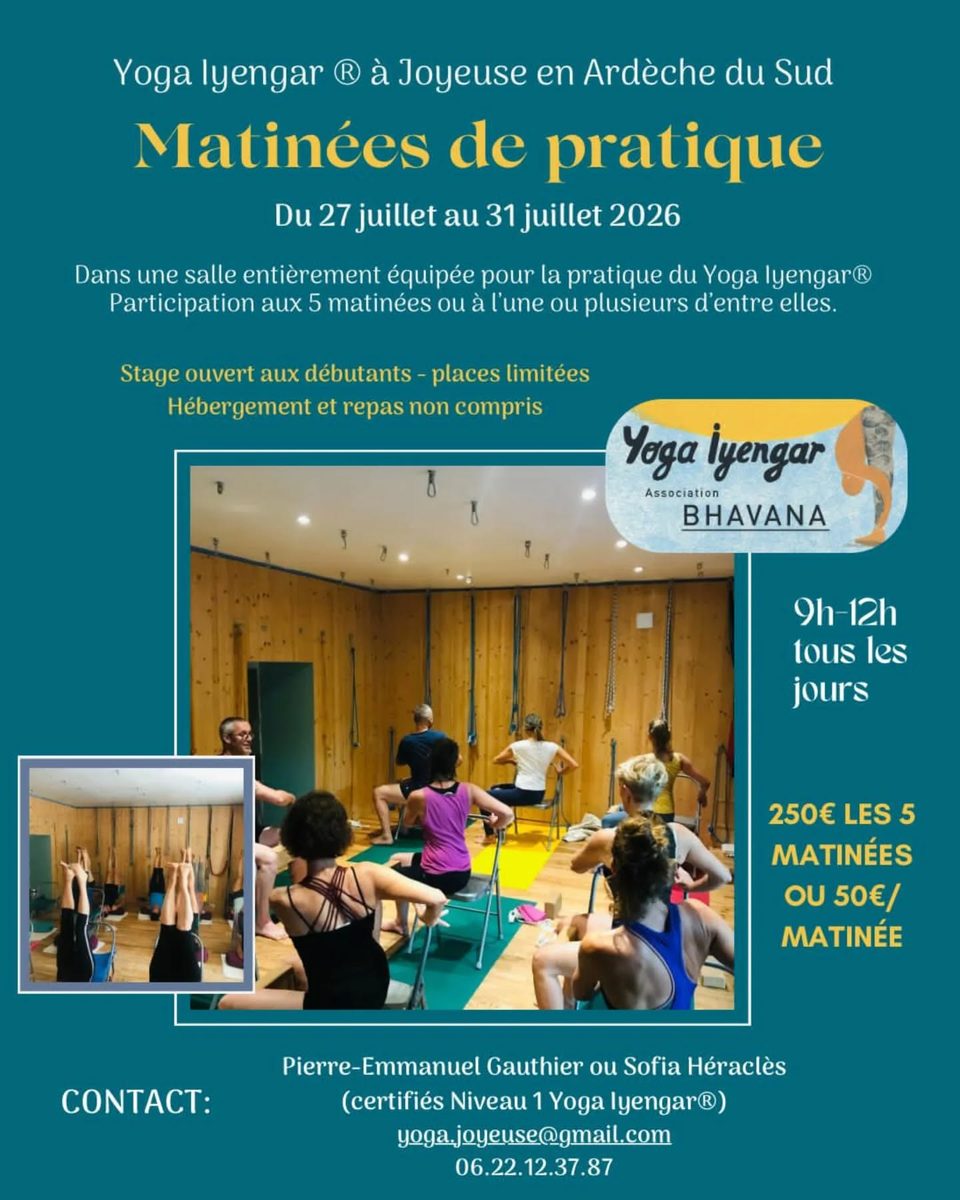 Affiche de Yoga iyengar matinées de pratique à Joyeuse